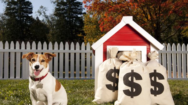 Kolik utratí majitelé psů za svého mazlíčka?